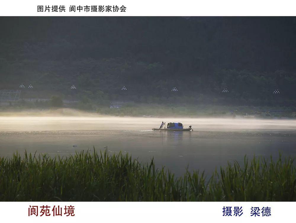 牙痛怎样治疗-有问必答平台-专业解答你的问题